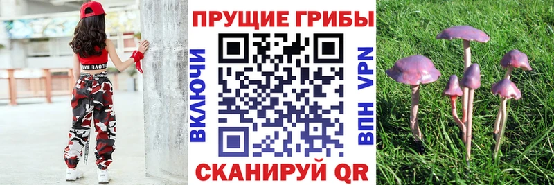 Галлюциногенные грибы мицелий  Яхрома 